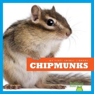 chipmunk